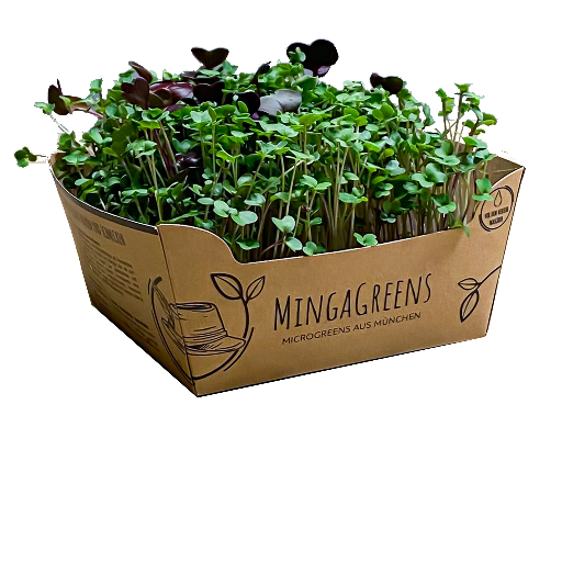 Brotzeitmix Microgreens | Bio