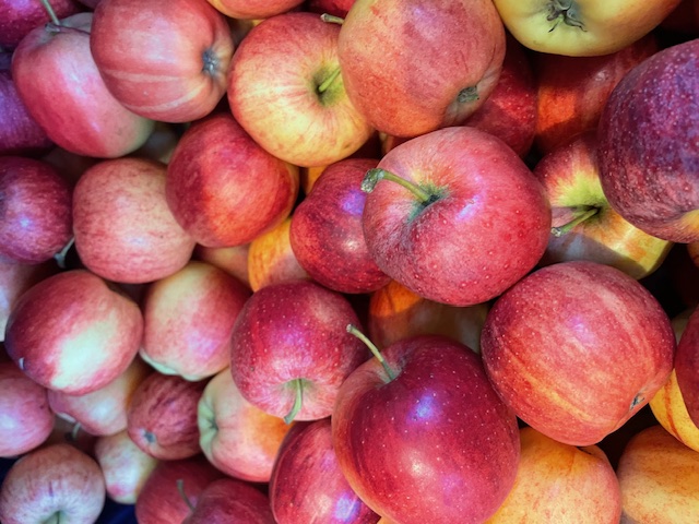 Apfel Gala I Bio