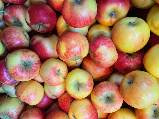 Apfel Topaz I Bio