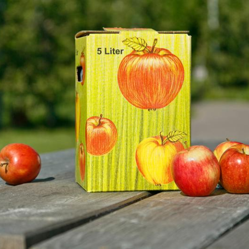 Apfelsaft | Bag-in-Box 5l | Bio