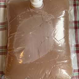 Birnensaft | Bag-in-Box 3l | Bio