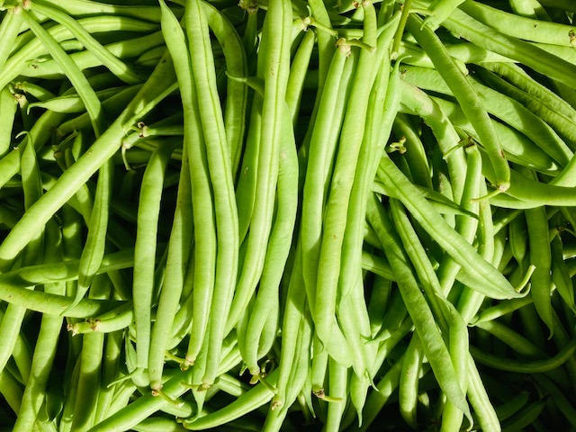 Buschbohne I Bio
