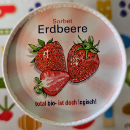 Erdbeer | Sorbet vegan | 125 ml