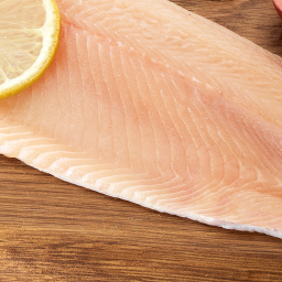 Fisch | Forellenfilet | Frisch