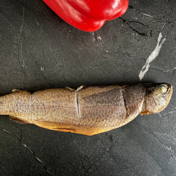 Fisch | Geräucherte Forelle
