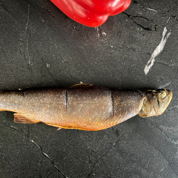 Fisch | Geräucherter Saibling