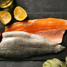 Fisch | Lachsforellenfilet | Frisch