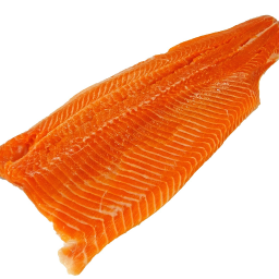 Fisch | Saiblingfilet | Frisch