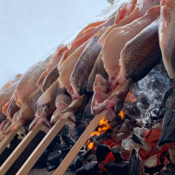 Fisch | Steckerlfisch zum Selbergrillen