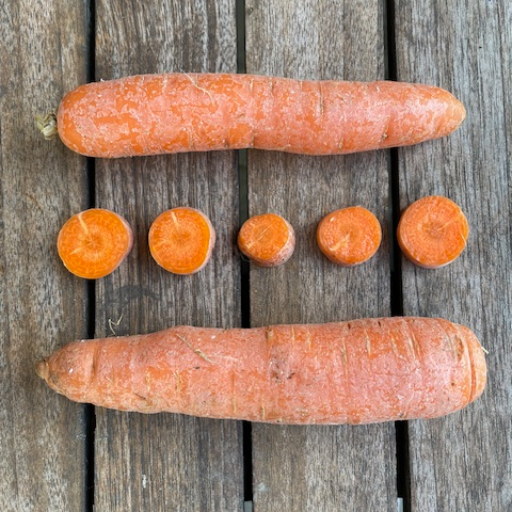 Früh-Karotte I Bio