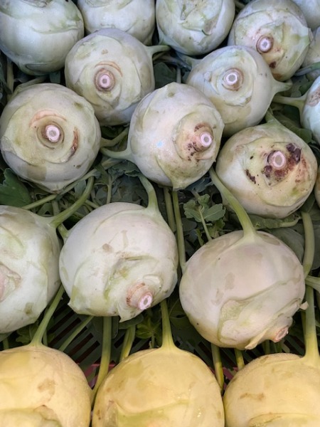 Kohlrabi I Bio