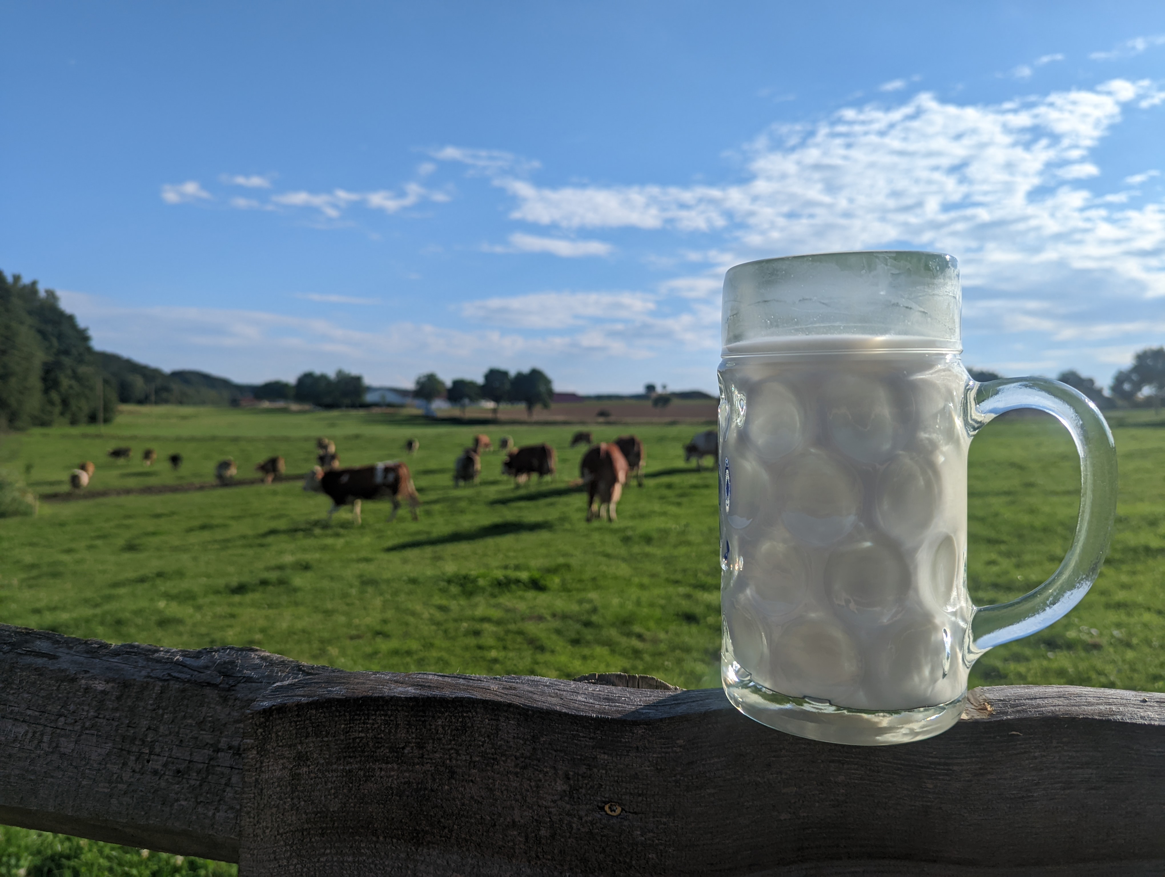 Milch