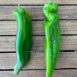 Paprika Spitzpaprika grün | Bio