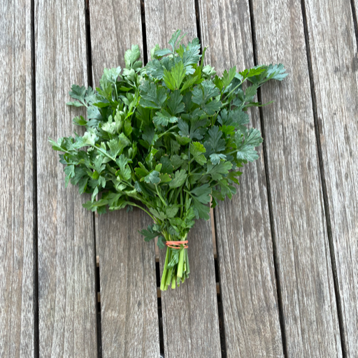 Petersilie Bund I Bio