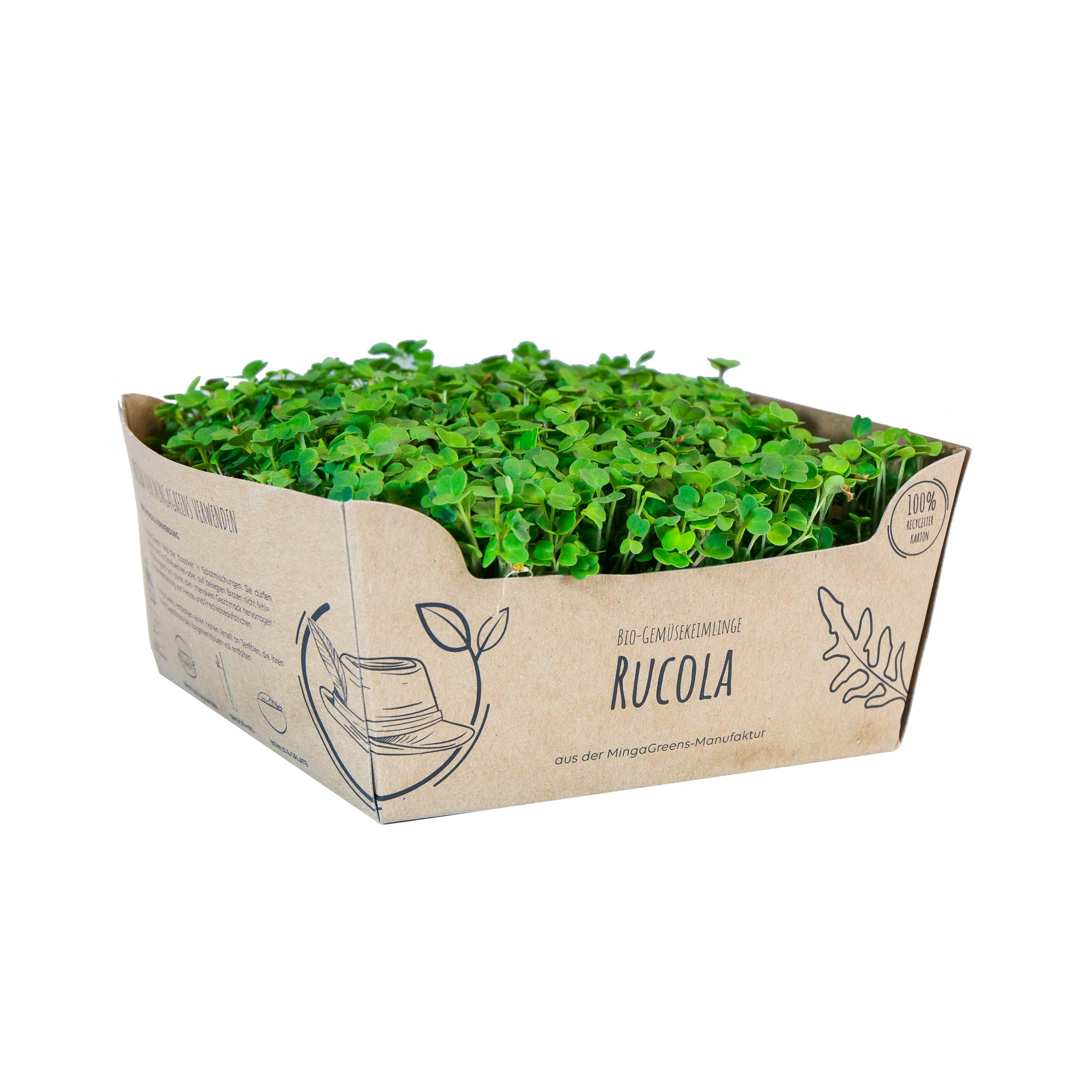 Rucola Kresse